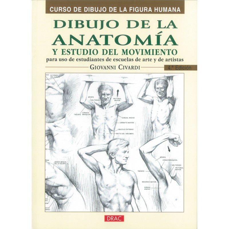 Impresión artística de la anatomía artística de 16