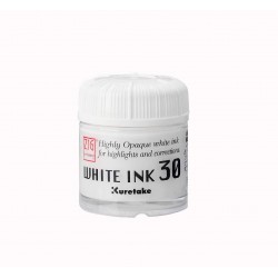 White Ink 30