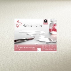 hahnemuehle-expression