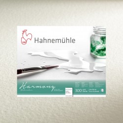 hahnemuehle-harmony-granogrueso