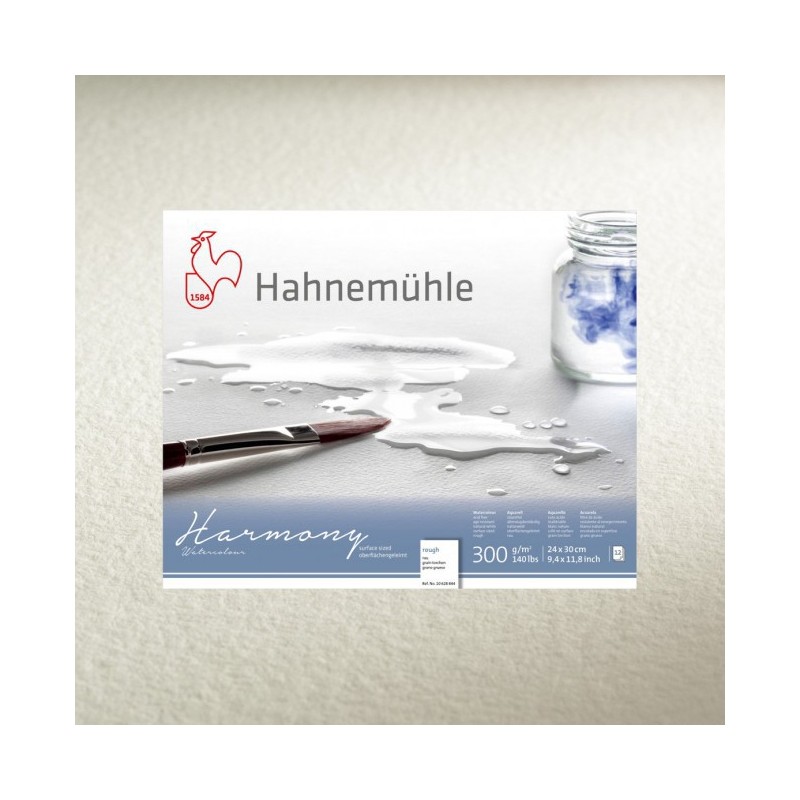 Harmony Hahnemühle 300 gr. grano grueso